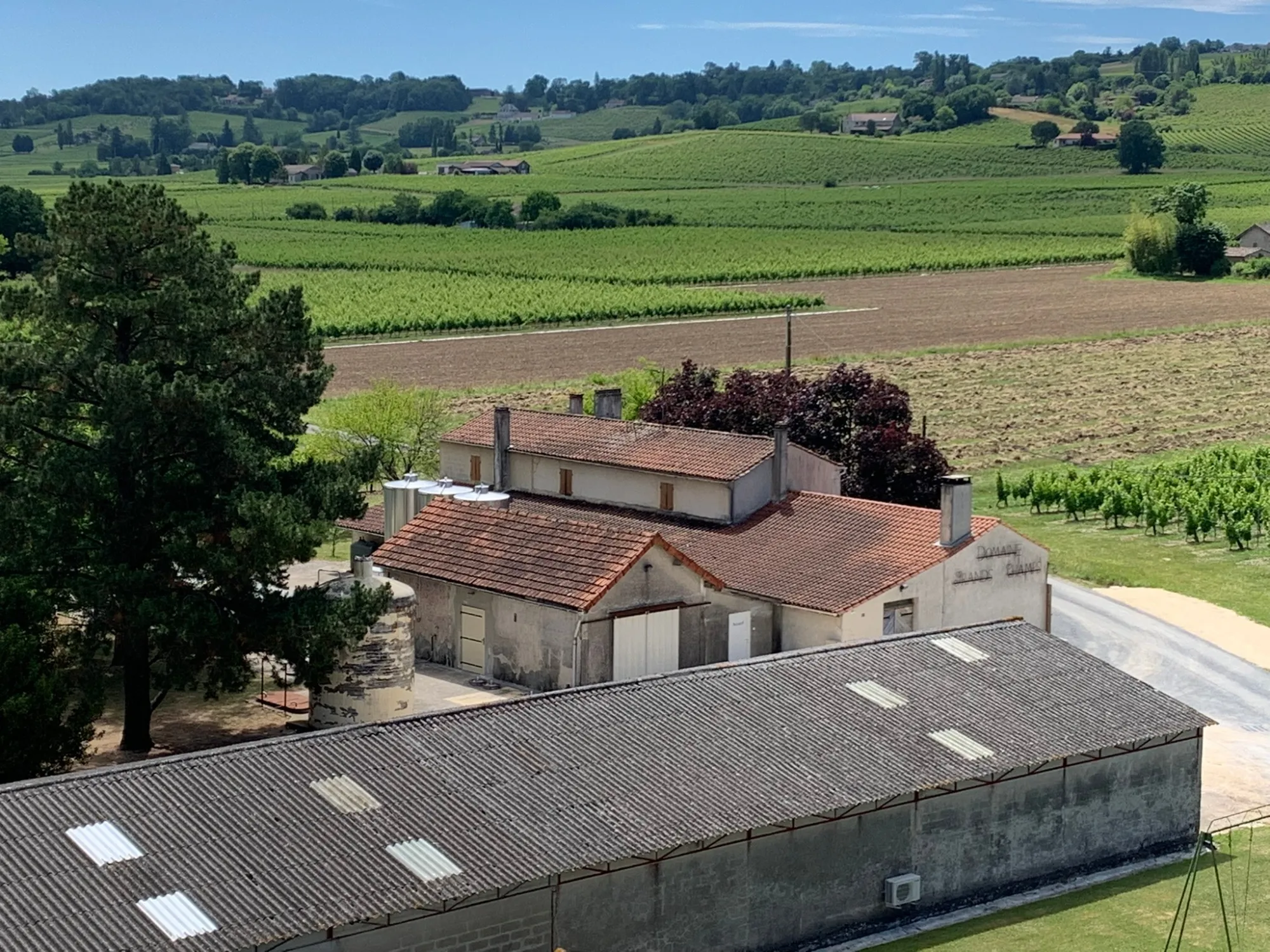 Vignobles